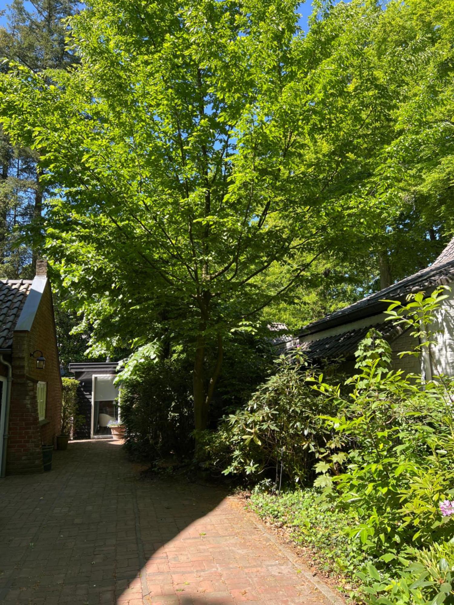 De Merel Vught Eksteriør bilde